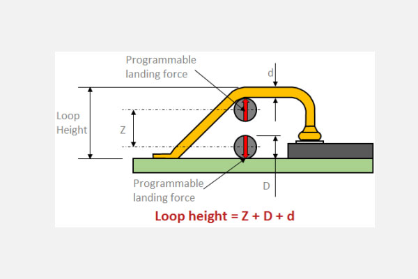 Loop height