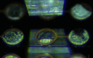 Microscope view: tests 1, 2 and 3