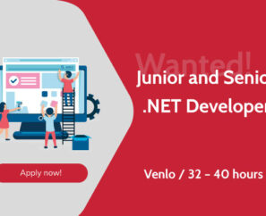 Junior Senior .NET Developer wanted