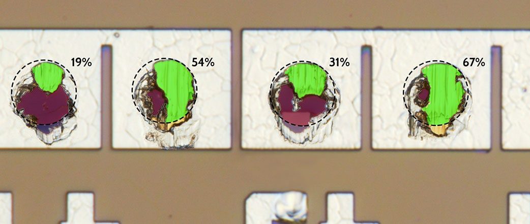 auto grading test