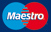 logo_MAESTRO
